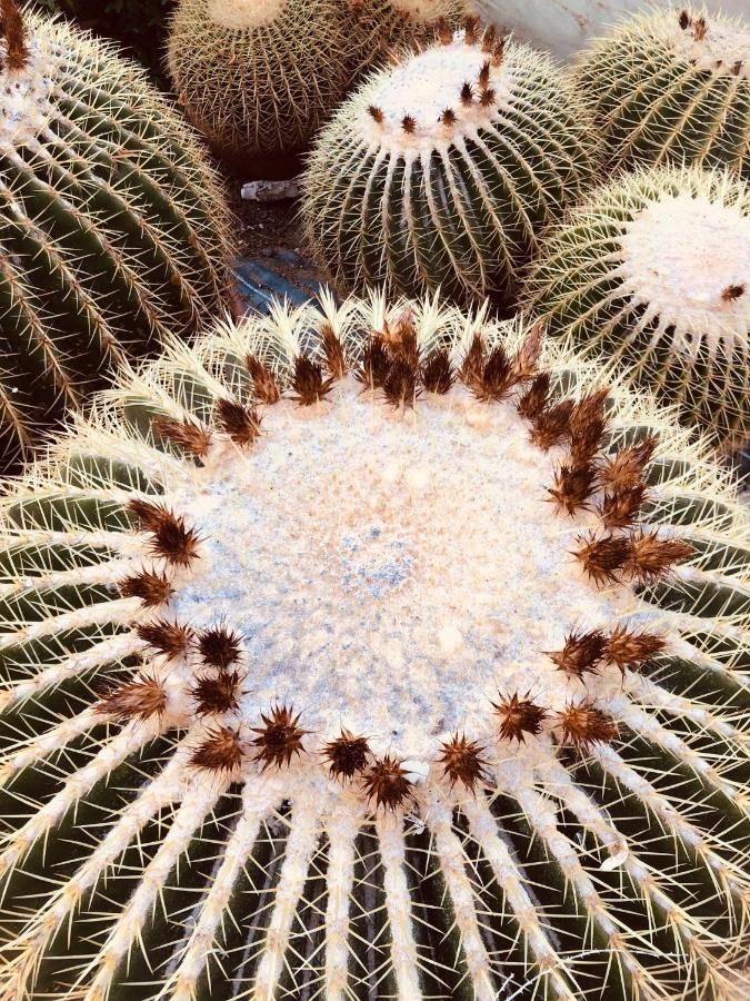 Dimore Del Valentino Сампиери Экстерьер фото